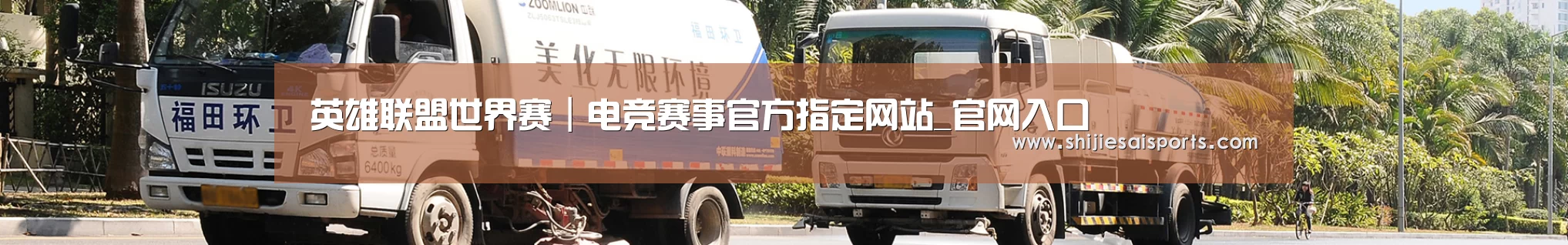 成功案例