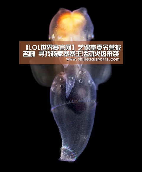 【LOL世界赛官网】艺课堂夏令营报名啦 寻找杨家寨寨主活动火热来袭(图3) LOL世界赛官网